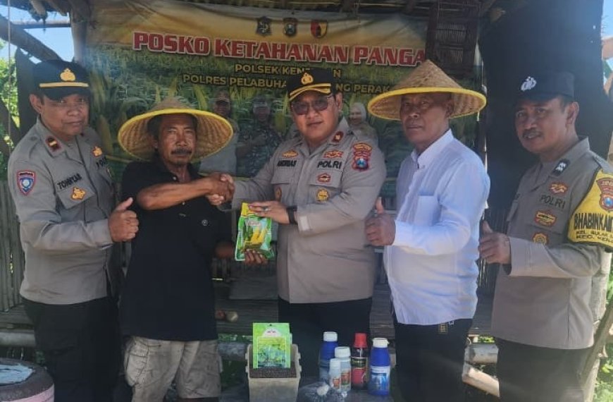 Bantuan Sarana Pertanian Dukung Peningkatan Produksi Pangan Lokal